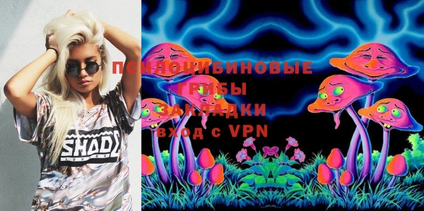 индика Алексеевка