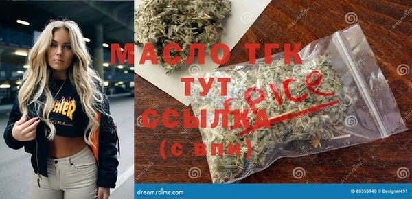 шишки Абаза