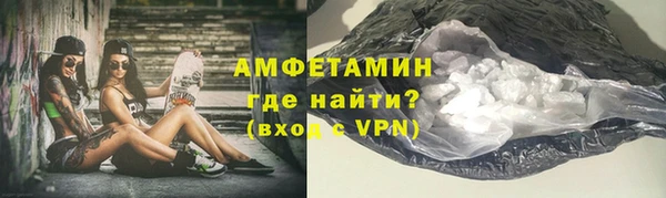 шишки Абаза