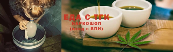 шишки Абаза