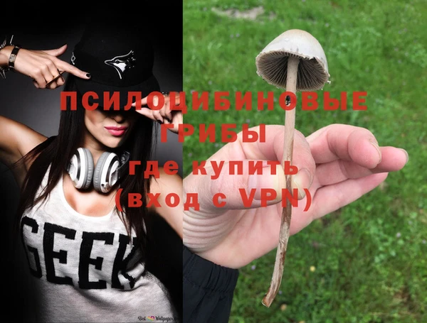 шишки Абаза