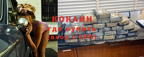 шишки Абаза