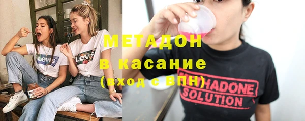 шишки Абаза
