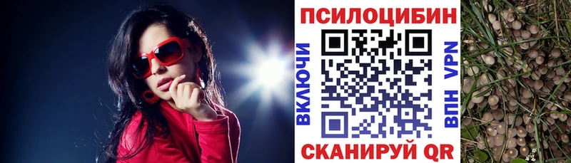 Псилоцибиновые грибы GOLDEN TEACHER  Полярные Зори 